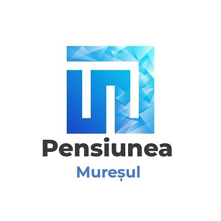 Pensiunea Muresul Târgu-Mureş 외부 사진